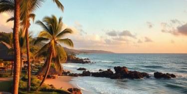 Palm trees along a tropical coastline at sunset