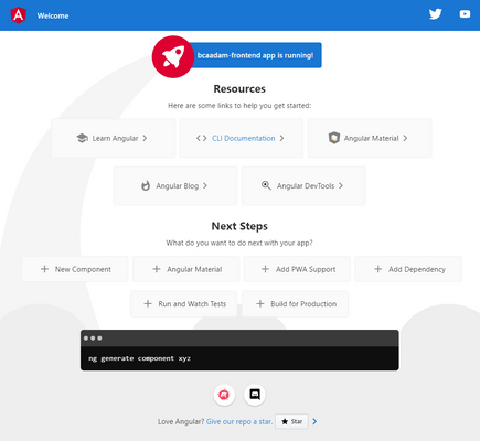 Initial Angular Project