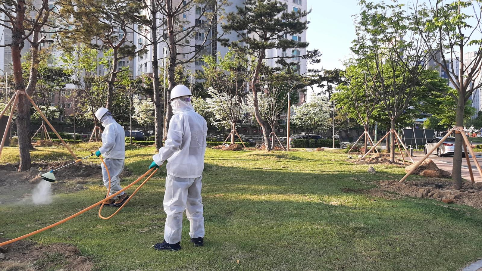 Neighborhood Park Lawn Care, Heungdeok, photo 4