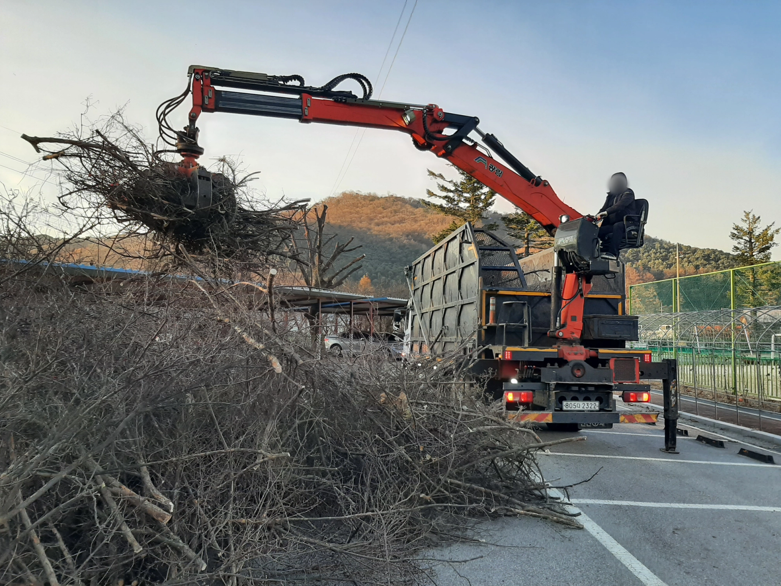 Tree Pruning at Munsan and 7 Other Schools, photo 16