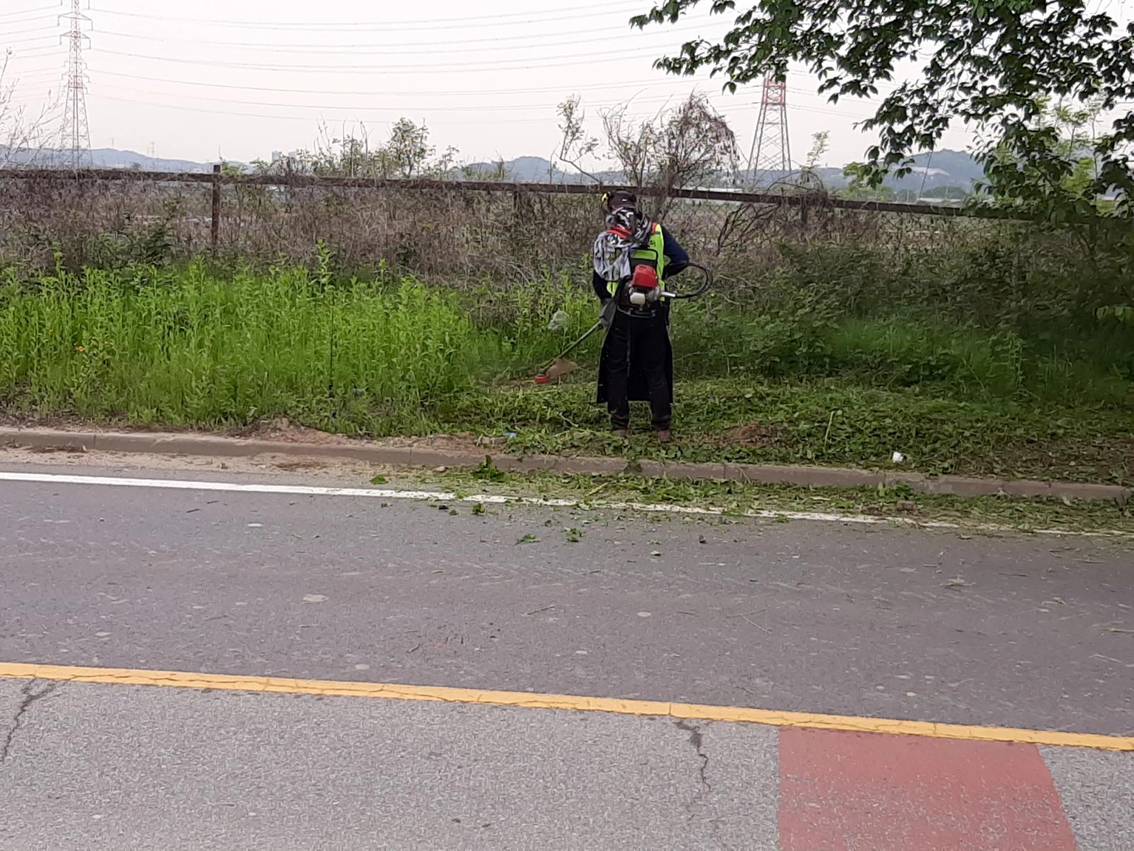 서부권 도로변 제초작업 (파주시) 사진 2