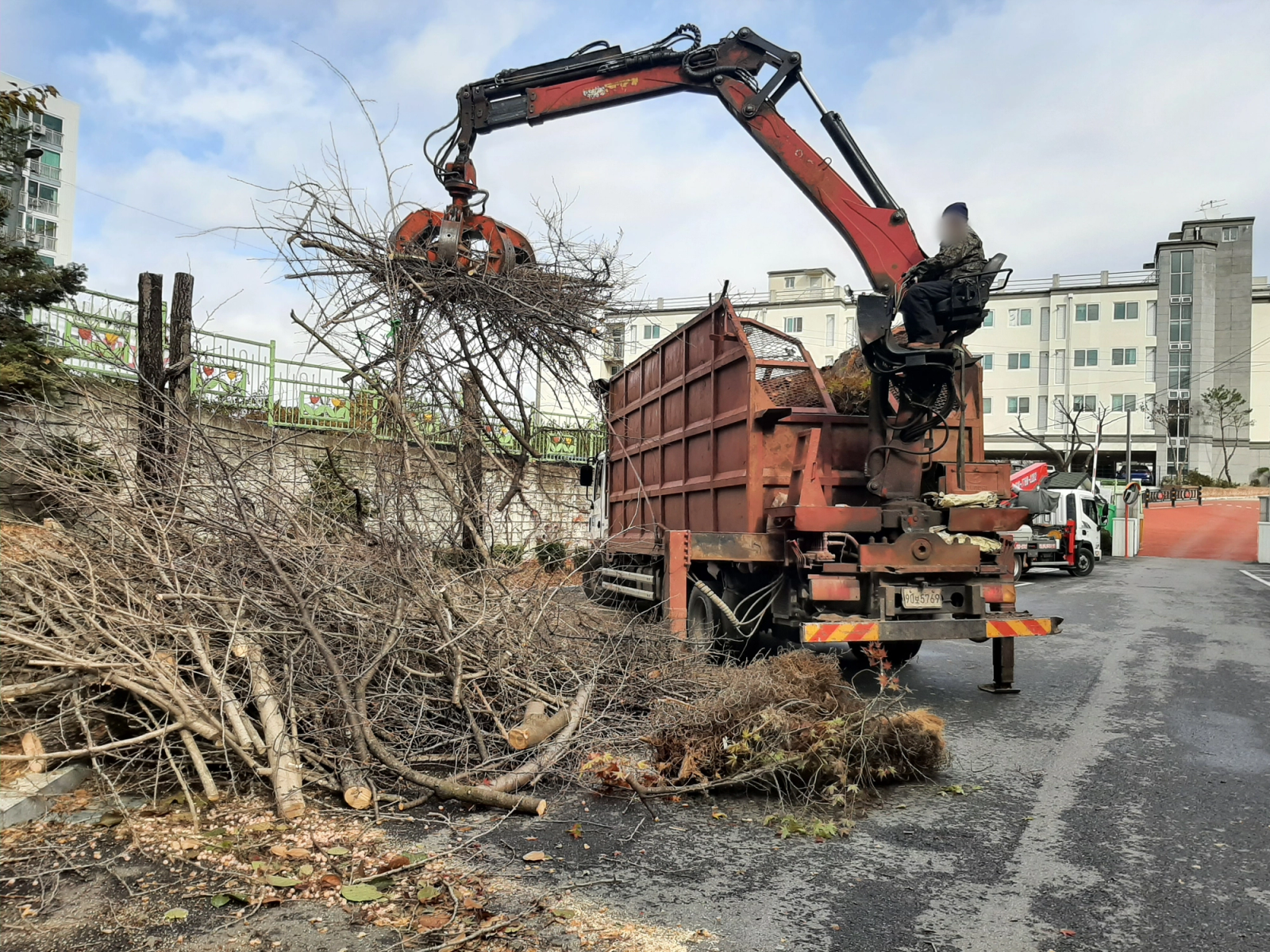 Tree Pruning at Munsan and 7 Other Schools, photo 15