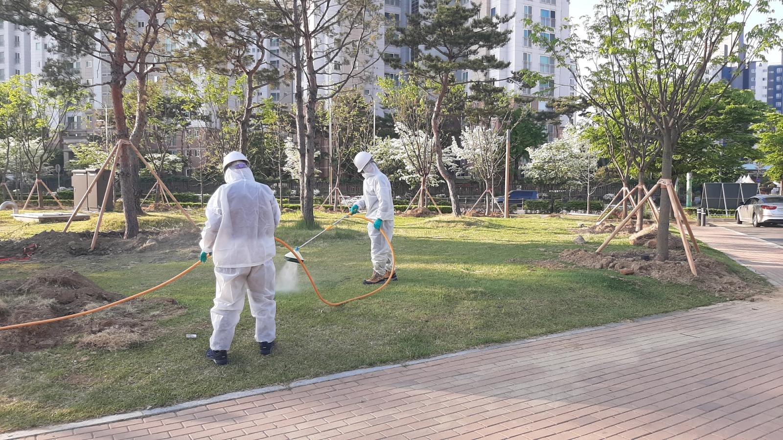 Neighborhood Park Lawn Care, Heungdeok, photo 5