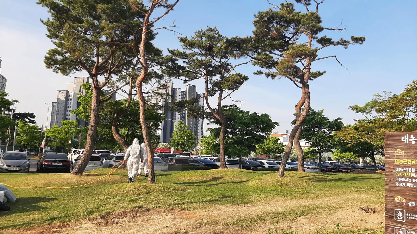 Neighborhood Park Lawn Care, Heungdeok, photo 6