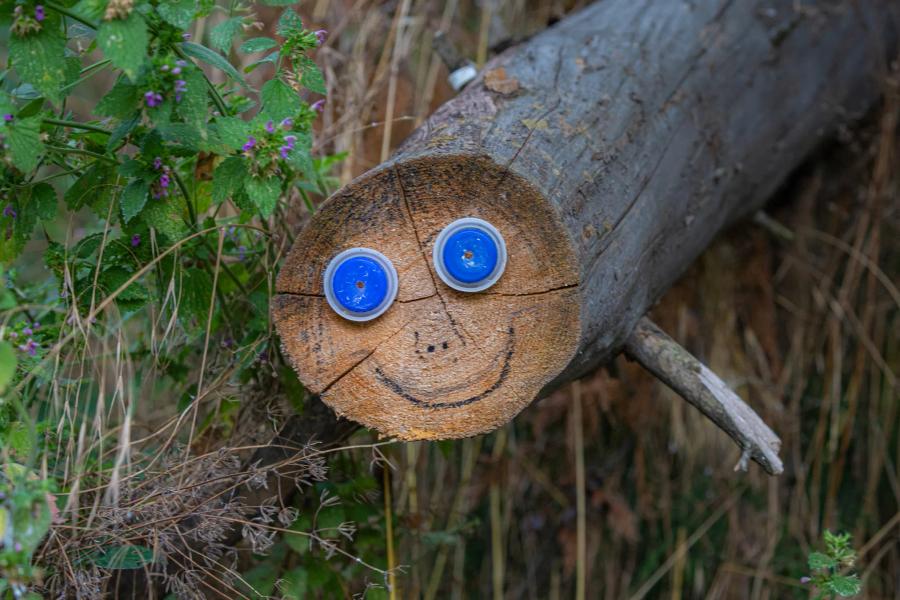 A log with a smiley face drawn on the end and bottle-top eyes.
