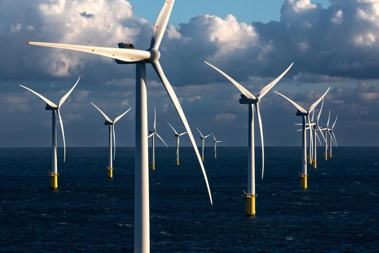 A wind farm at sea