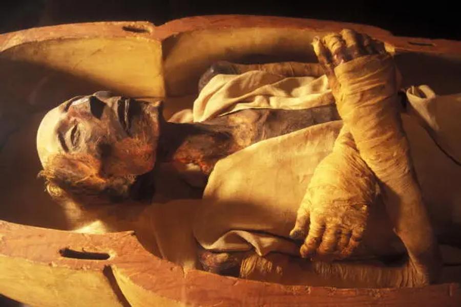 A mummified body lying in an open wooden coffin, partly covered in linen wrappings, with its arms crossed over its chest and its face and hair visible.