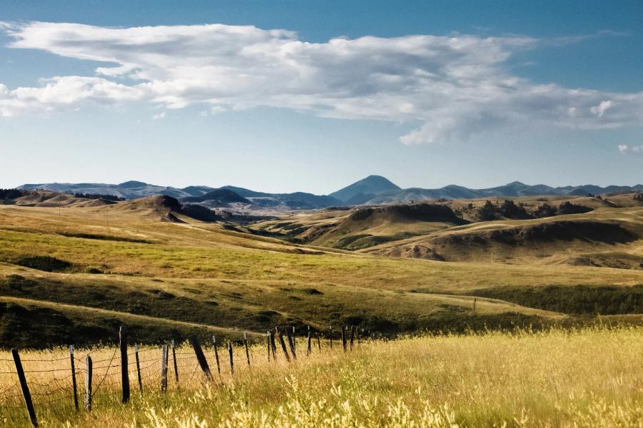 Rolling grassy hills with mountains in the distance.