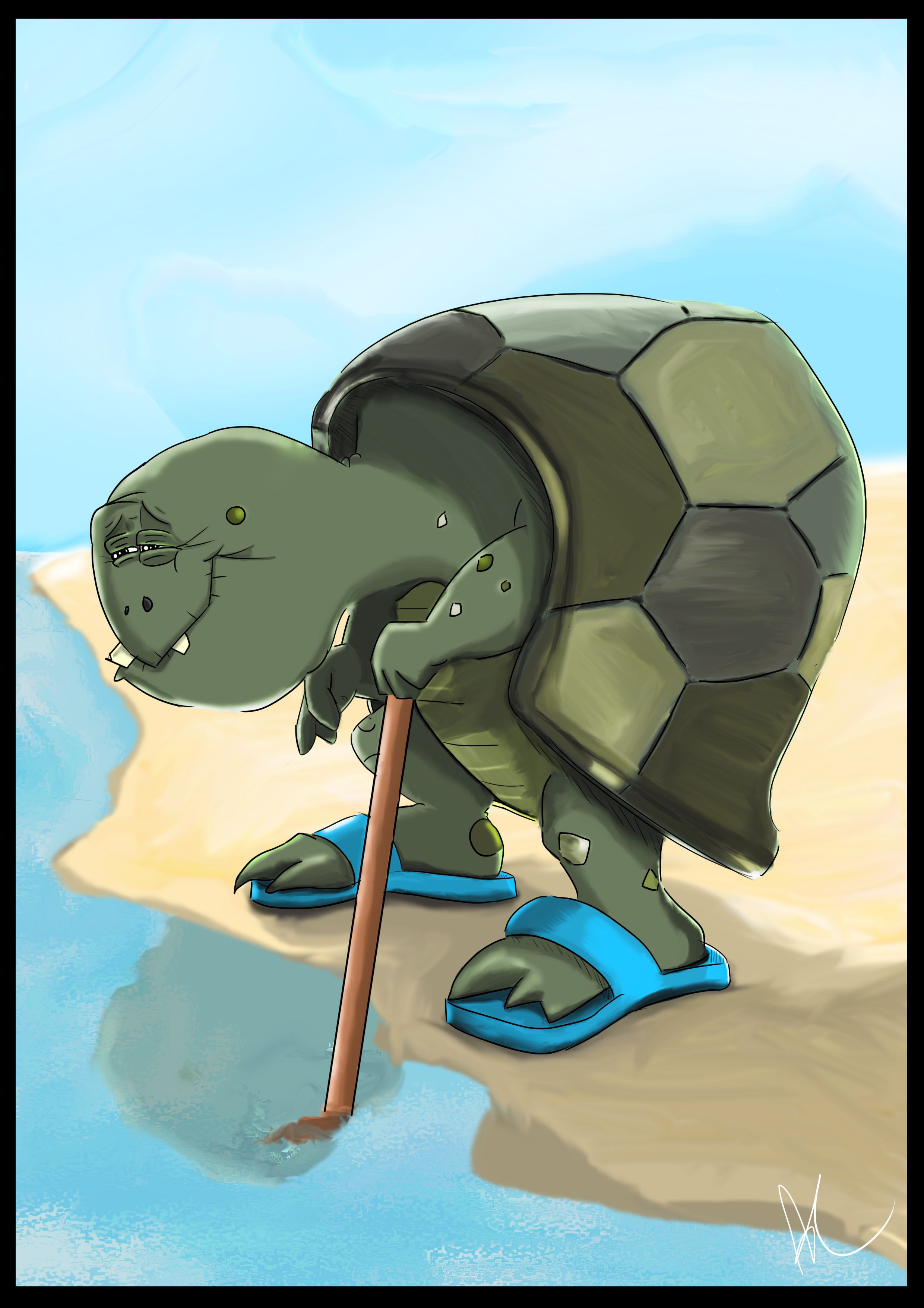 Tortoise with slippers going to wade in the water