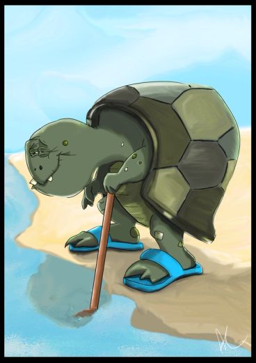 Tortoise with slippers going to wade in the water