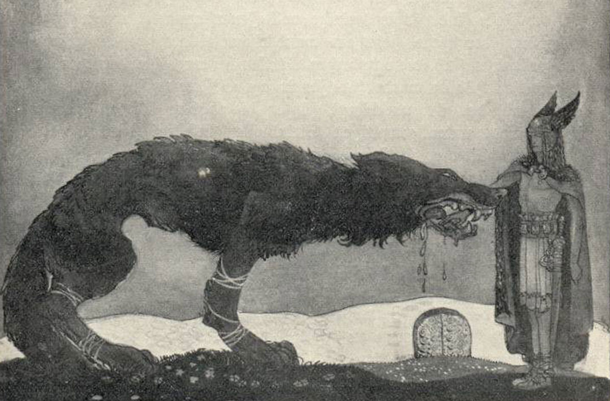 wolf in norway
