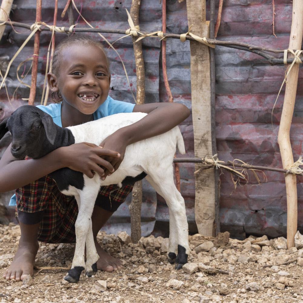 Lavlina (6) holds a sheep her family in Kenya received through ChildFund's Gifts for Good gift catalogue.