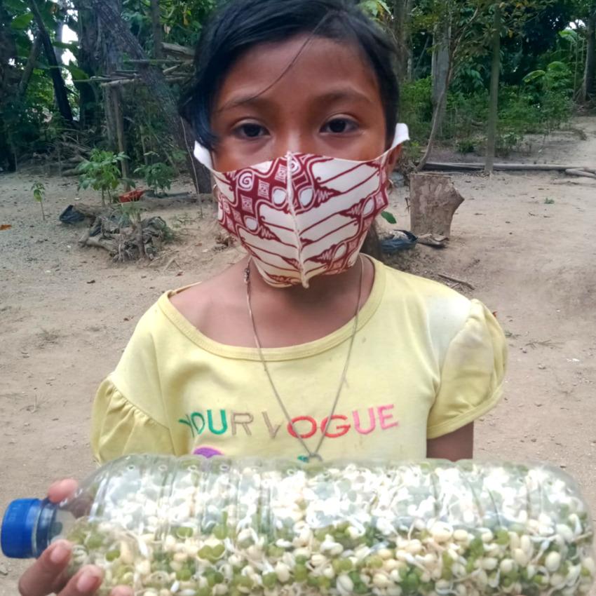 Arya (pictured above) is growing bean sprouts for her family.