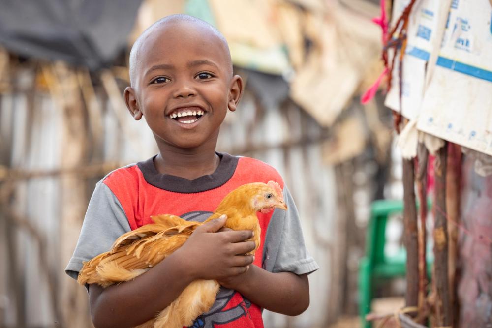 One Dozen Chickens Charity Christmas Gift