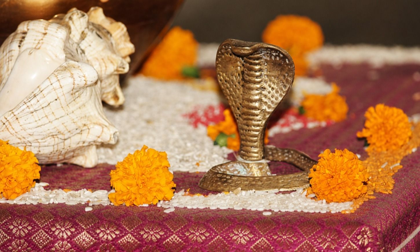 BookMyPooja Kaal Sarp Dosh Puja Complete Guide: Rituals, Remedies & Packages