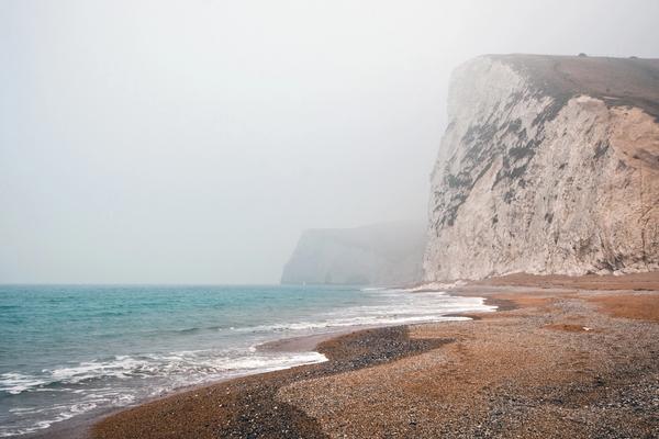The case for organisational democracy
