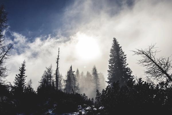 Friday links: design, development, usability and more