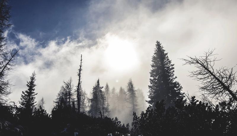 Friday links: design, development, usability and more