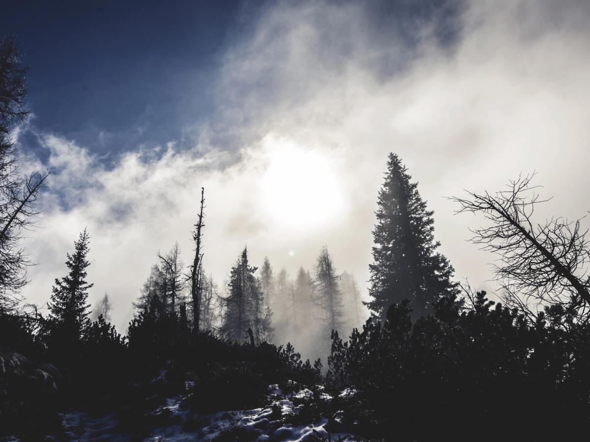 Friday links: design, development, usability and more