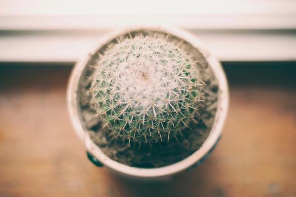 Working documentation – The perfect complement to working software