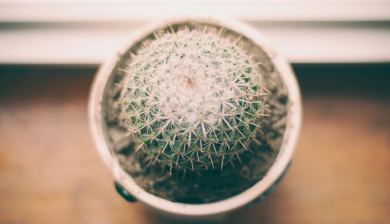 Working documentation – The perfect complement to working software