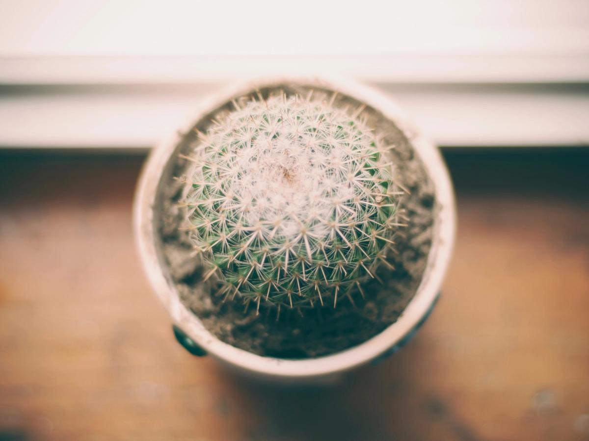 Working documentation – The perfect complement to working software