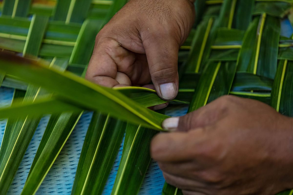 Close-up of two hands weaving strips of green palm frond