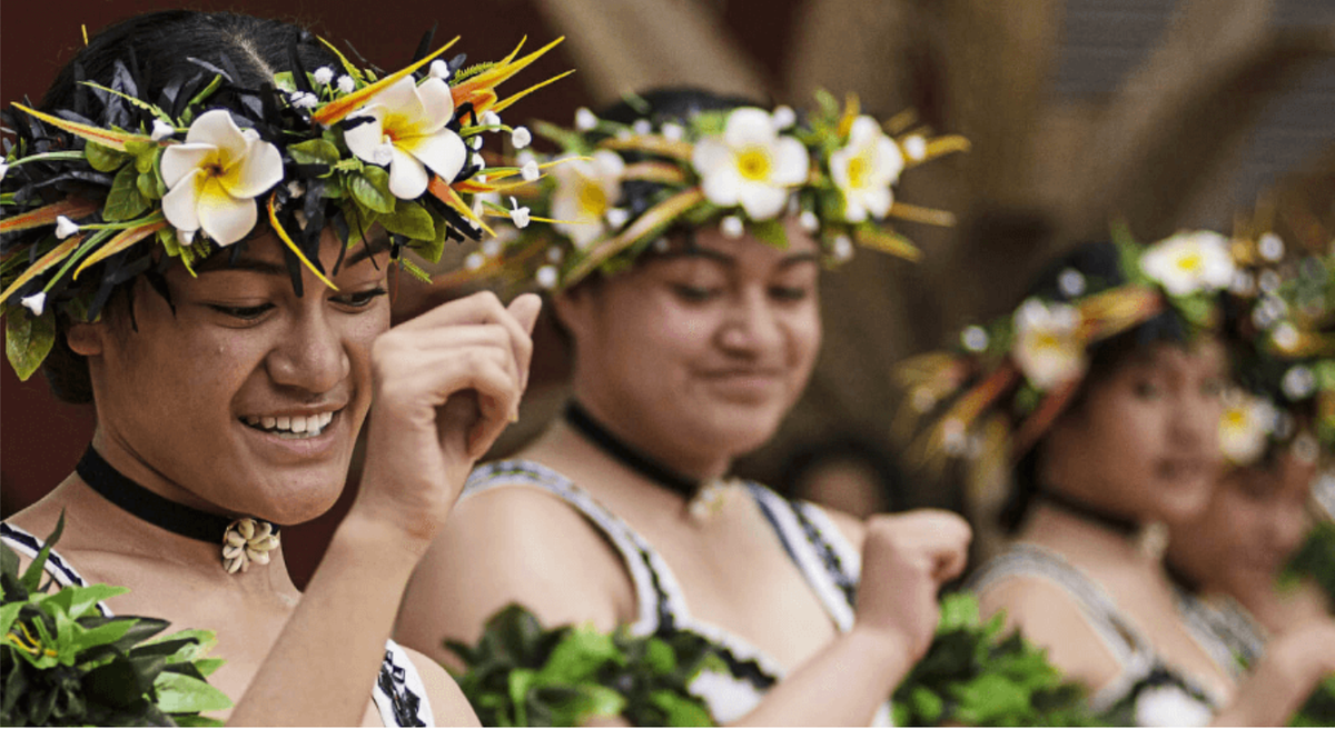 Multimedia arts resource helps Kiwis thrive