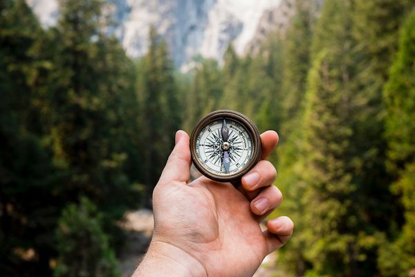 Your business purpose: How to discover your organisation’s compass