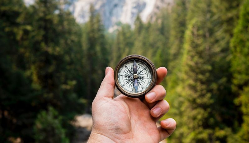 Your business purpose: How to discover your organisation’s compass
