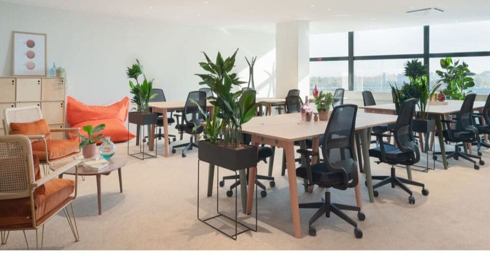Les bienfaits des plantes dans un espace de travail