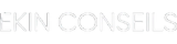 Logo Ekin Conseils