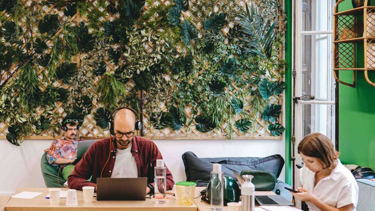 Three people work on their laptops at wooden tables in front of a large plant wall, in a light-filled space.