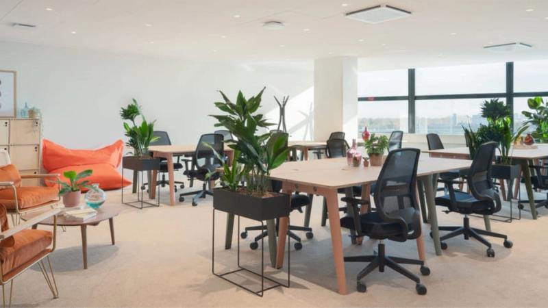 De voordelen van planten in een werkruimte