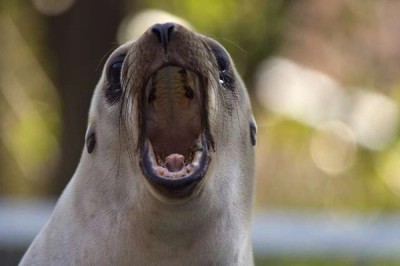 Workplace Hack: The Shout About It Method