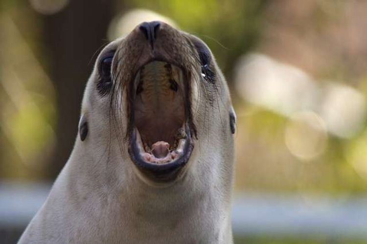 Workplace Hack: The Shout About It Method