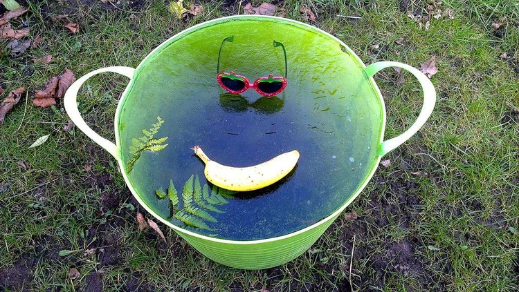 Workplace Hack: Bucket of Love