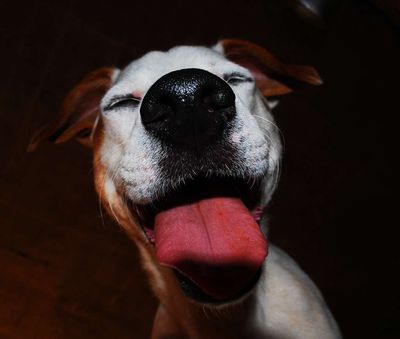 Top 6 HR Apps For Workplace Happiness & Productivity