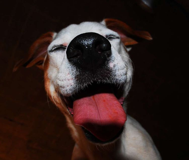 Top 6 HR Apps For Workplace Happiness & Productivity