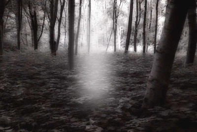 Workplace Hack: Mindfulness Check-Ins