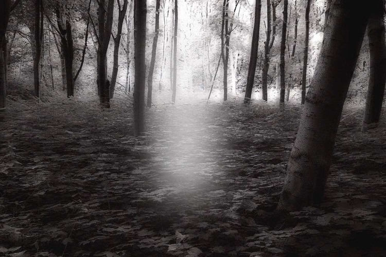 Workplace Hack: Mindfulness Check-Ins