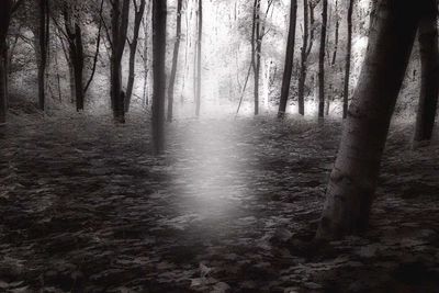 Workplace Hack: Mindfulness Check-Ins