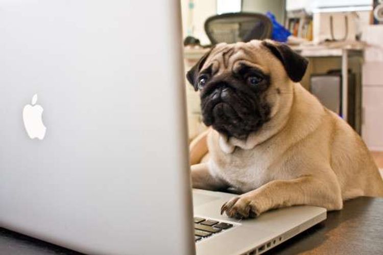 How to test remote working (without getting your team’s hope up)