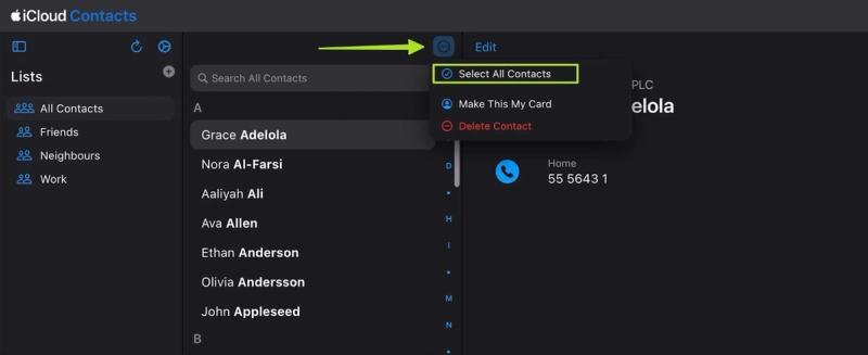 Selecting all your contacts in one go in Icloud's 'Contacts'.