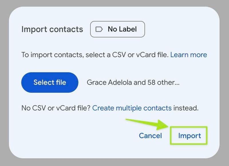 Dialog box showing the Import Button in Google Contacts.