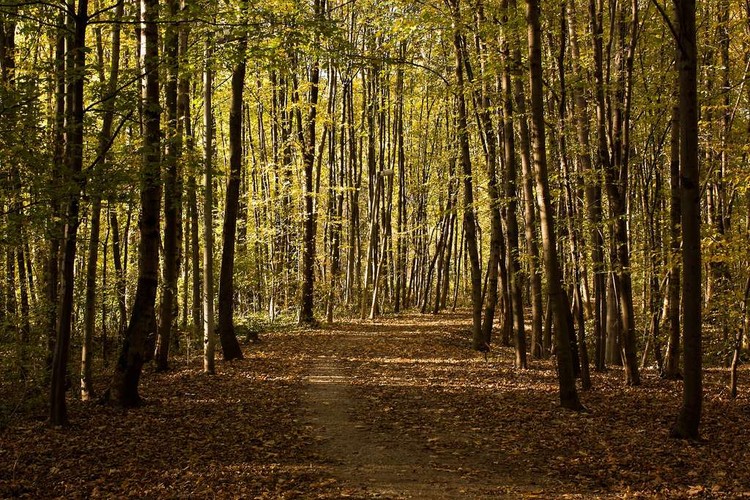 Workplace Hack: Leave a Trail of Productivity Breadcrumbs