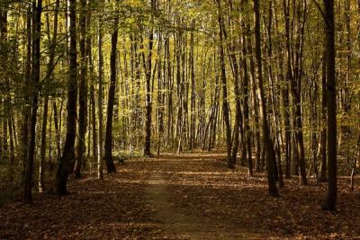 Workplace Hack: Leave a Trail of Productivity Breadcrumbs