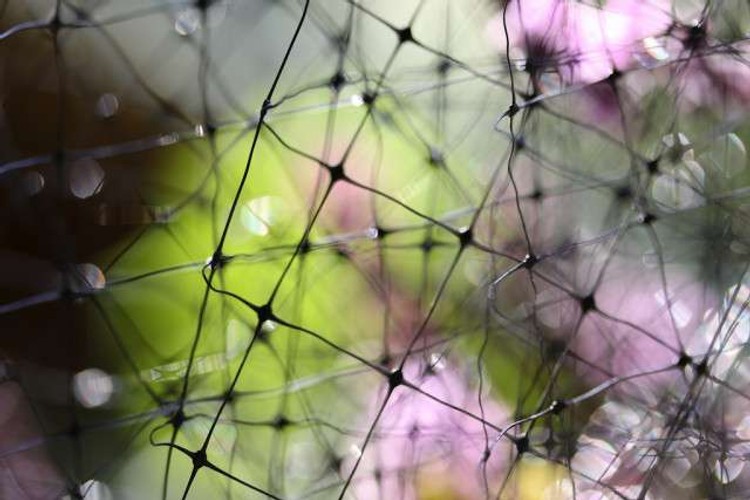 Productive Business Networking Tips From the Pros