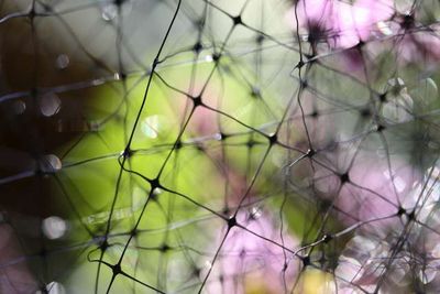 Productive Business Networking Tips From the Pros