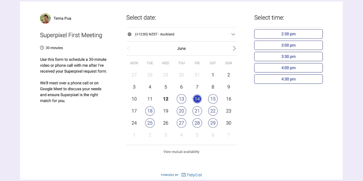 Example of Tidycal scheduling tool UI